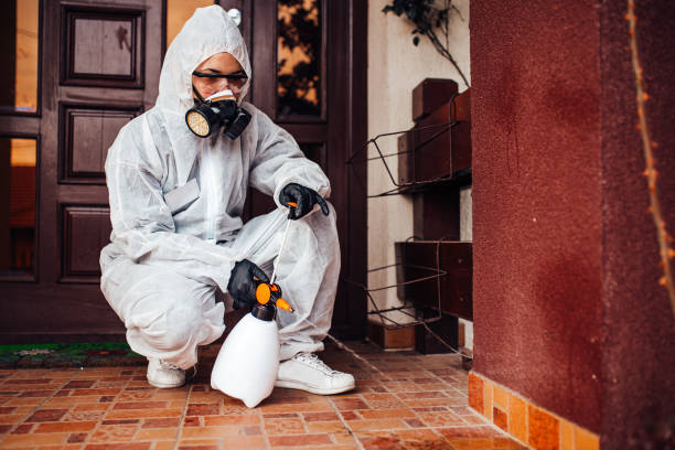 Reliable Cockroach Control contractor in Newton, NJ by Nex Pest Control